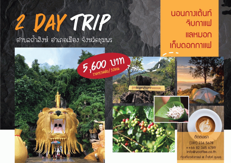 รวมสถานที่ท่องเที่ยวชุมพร นอนกางเต้นท์ จิบกาแฟ แลหมอก เก็บดอกกาแฟ