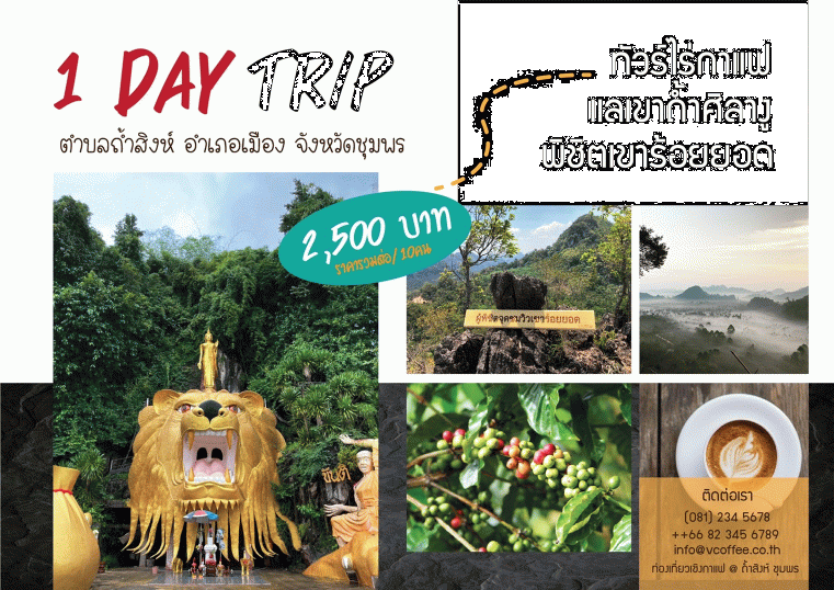 รวมสถานที่ท่องเที่ยวชุมพร ทัวร์ไร่กาแฟ แลเขาถ้ำศิลางู พิชิตเขาร้อยยอด