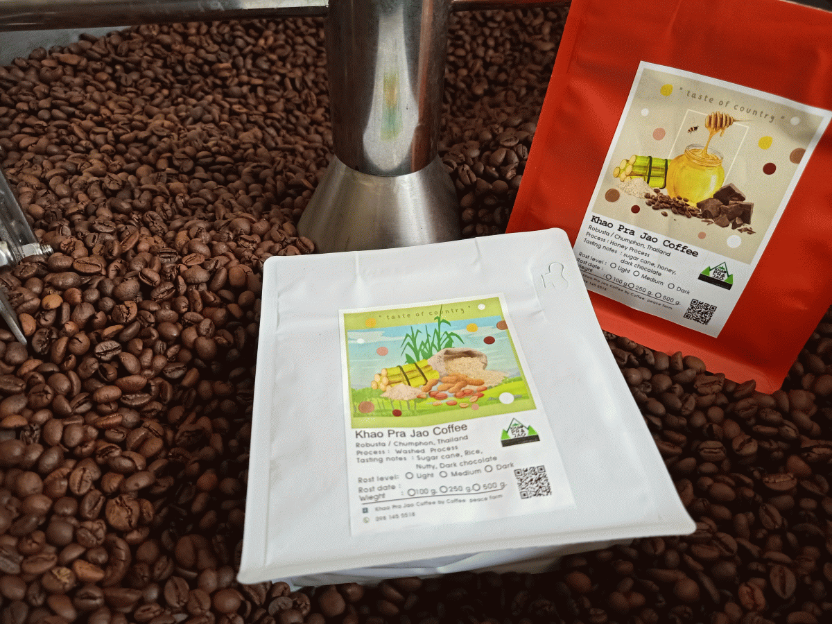 เมล็ดกาแฟคั่วโรบัสต้า100%เขาพระเจ้า01 ขนาด 100 กรัม