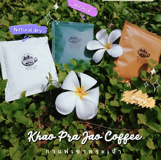 กาแฟคั่วบดในซองดริปกล่อง5ซอง กาแฟโรบัสต้า100%เขาพระเจ้าชุมพร04 ขนาด 50 กรัม